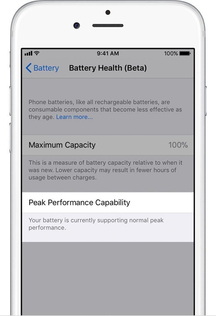 iPhone 6 / iPhone 6s Battery Performance is normal