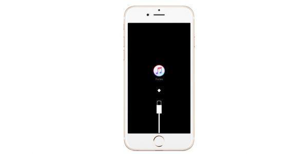 iOS 14 Problems 1 - iPhone Stuck on Recovery Mode