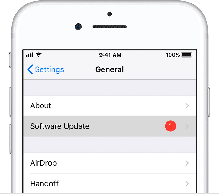 iOS 14 Settings App Crashes Fix 2 - Check Update