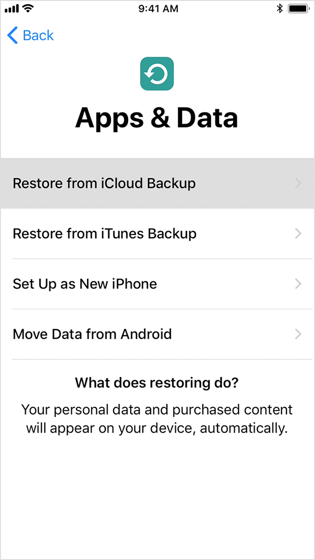 iOS 14 Settings App Crashes Fix 4 - Restore iPhone