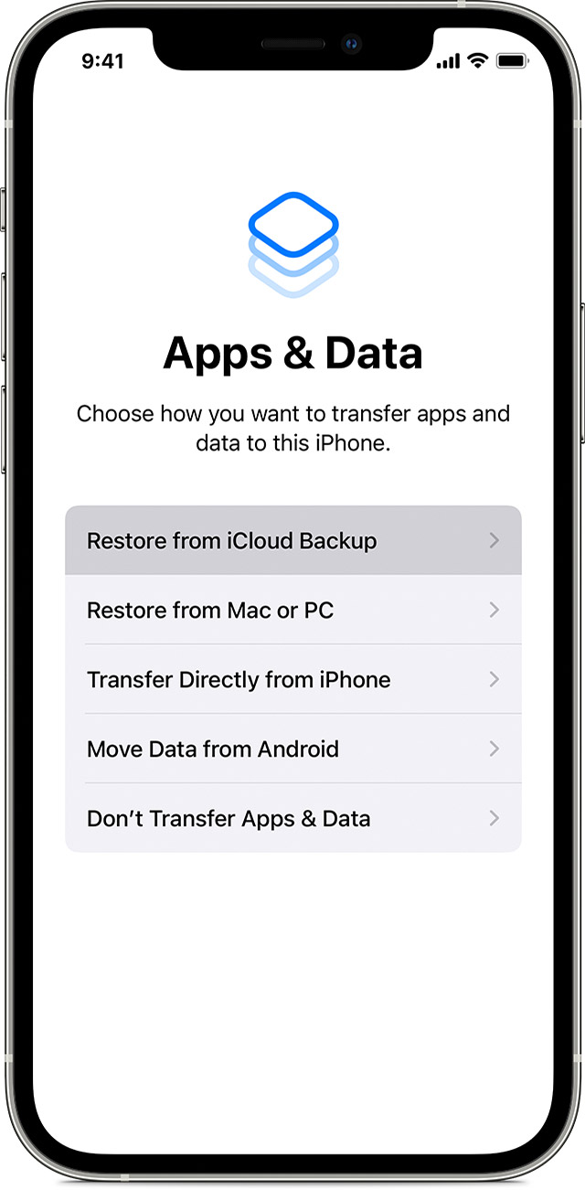 Find Accidentally Deleted iMessage Conversation with iCloud Backup Step 2