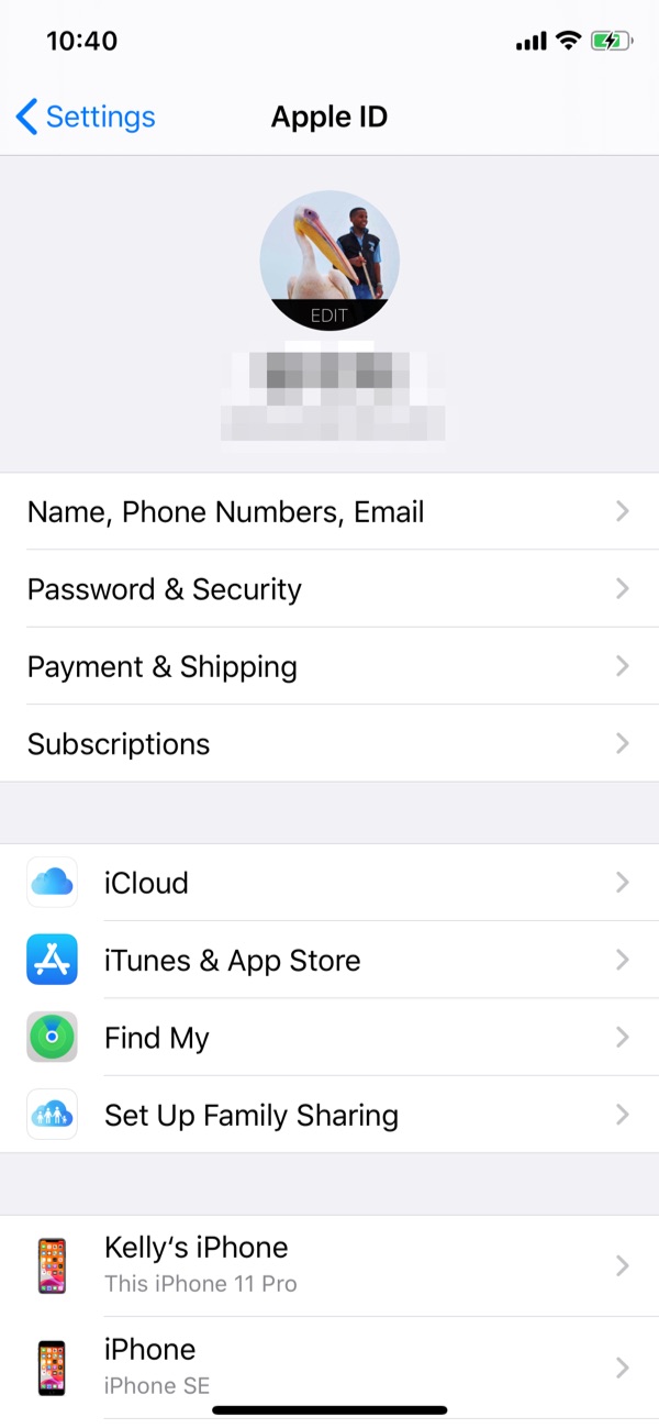 How To Set Up Apple ID On iPhone