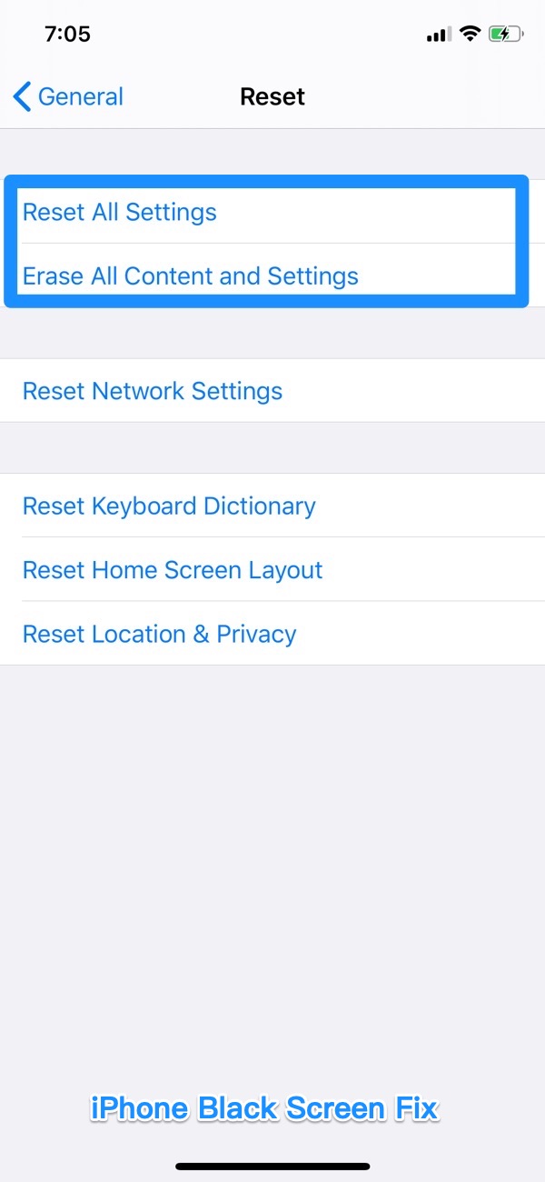 How To Fix iPhone Blank Screen Issue - Reset iPhone