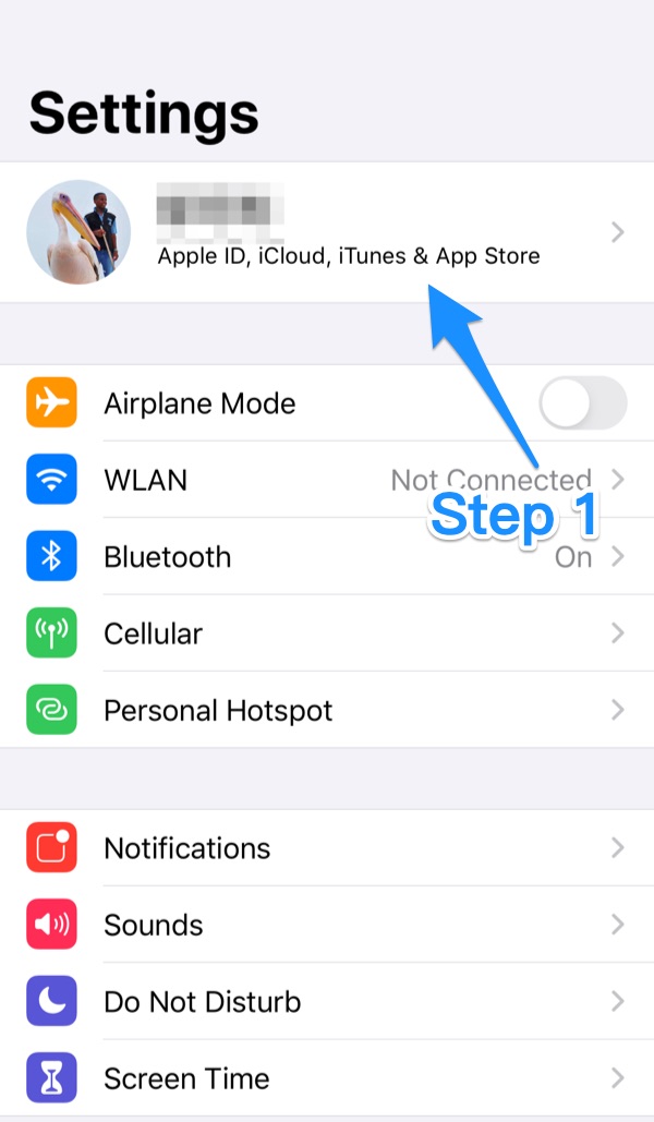 How To Download Photos and Videos from iCloud To iPhone 12 Pro Step 1