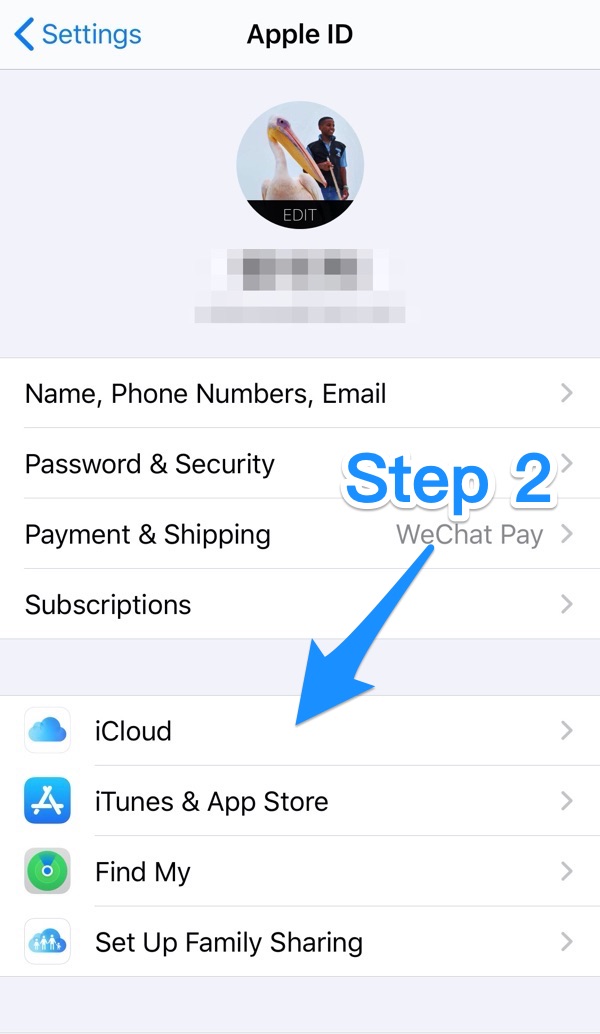 How To Download Photos and Videos from iCloud To iPhone 12 Pro Step 2