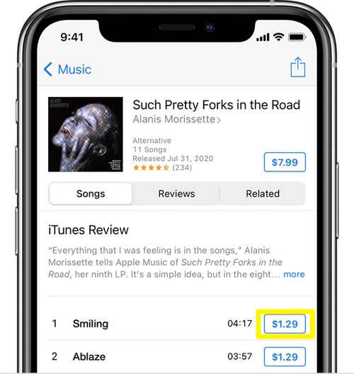 How To Put Music On iPhone 12 from iTunes Store