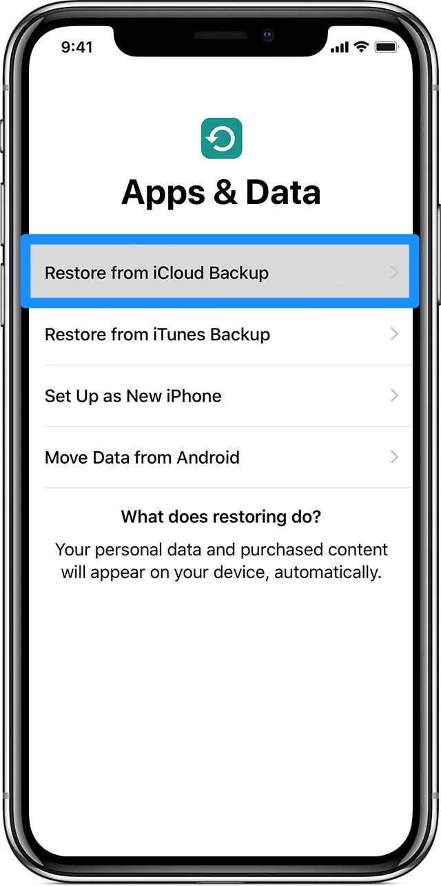 How To Use iCloud To Transfer Data To New iPhone Step 2