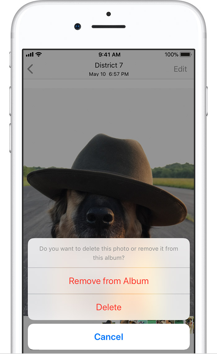 How To Delete Photos on iPhone Permanently