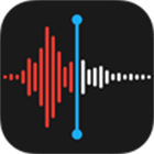 Voicememo Recovery